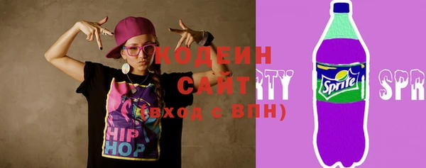 соль ск Богородск
