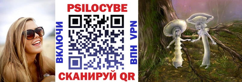 hydra ссылки Черноголовка Галлюциногенные грибы Cubensis